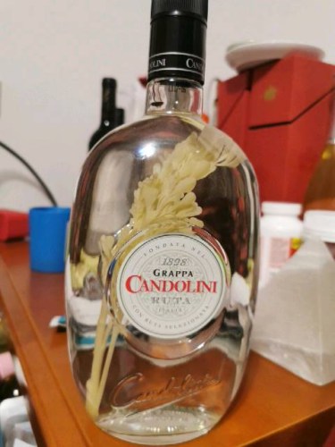 N.V. Candolini Grappa Ruta | Vivino US