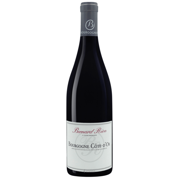 Bernard Rion Bourgogne Côte d'Or | Vivino English