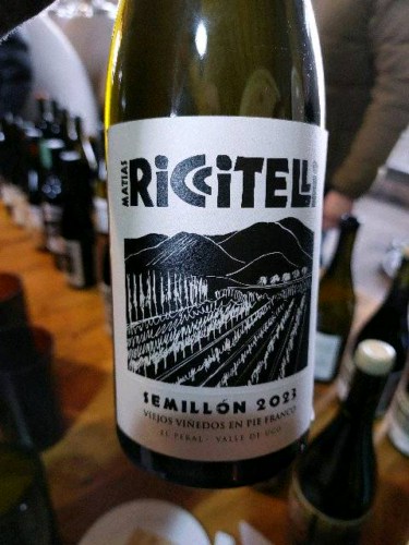 Matías Riccitelli Viejos Viñedos en Pie Franco Sémillon | Vivino English