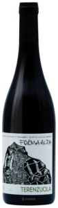 Terenzuola Forma Alta N.V.