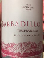 Barbadillo The Mountain Tempranillo Rosé