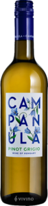 Campanula Pinot Grigio