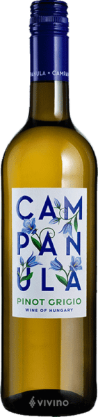 Campanula Pinot Grigio