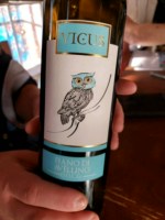 Vicus Fiano di Avellino