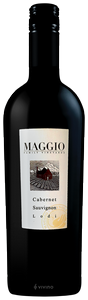 Maggio Family Vineyards Cabernet Sauvignon | Vivino English