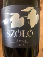 Szóló Thesis