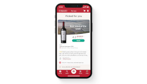 Il Pozzo Barbaresco | Vivino US