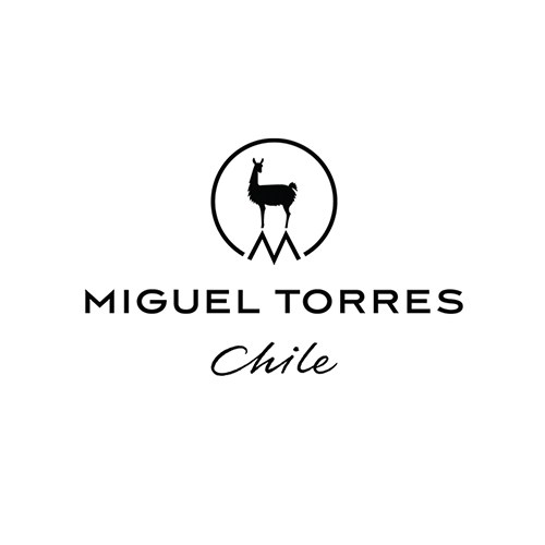 Miguel Torres Chile