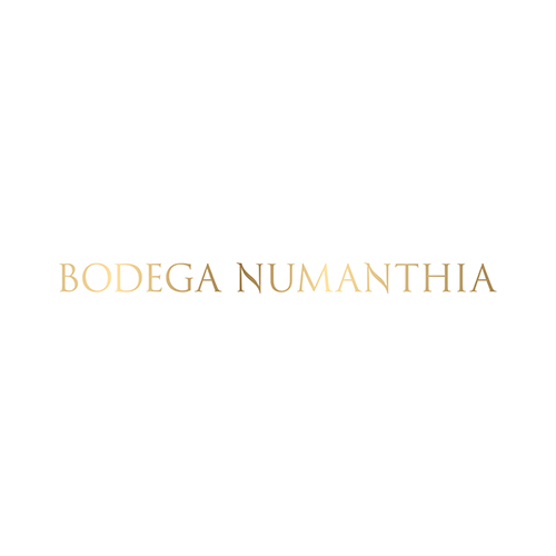 Bodega Numanthia