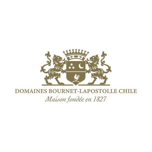 Clos Apalta