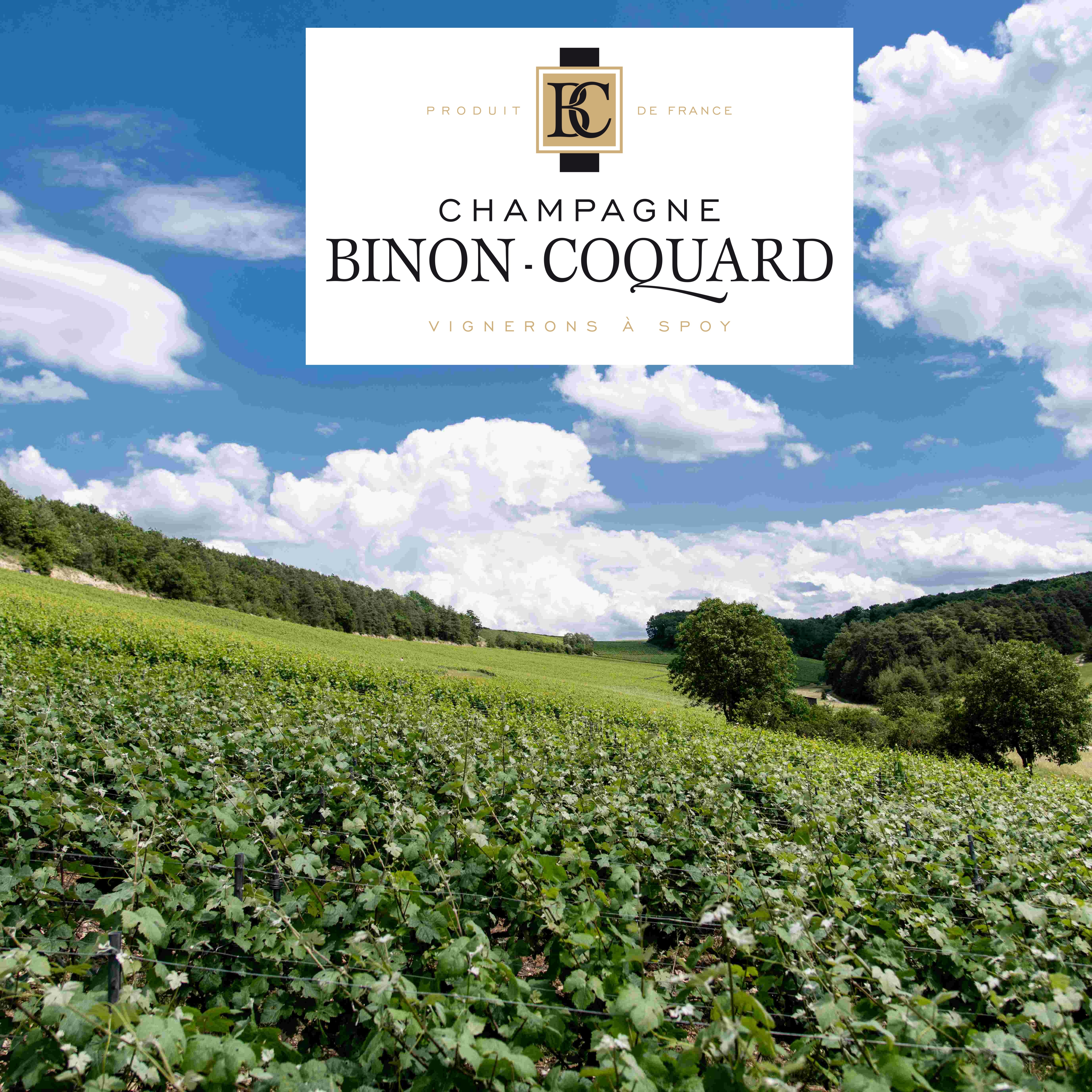 Champagne Binon-Coquard Winery | Vivino