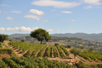 Domaines Bunan