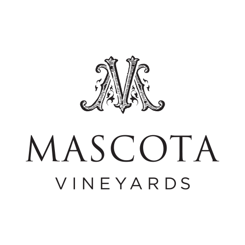 www.vivino.com