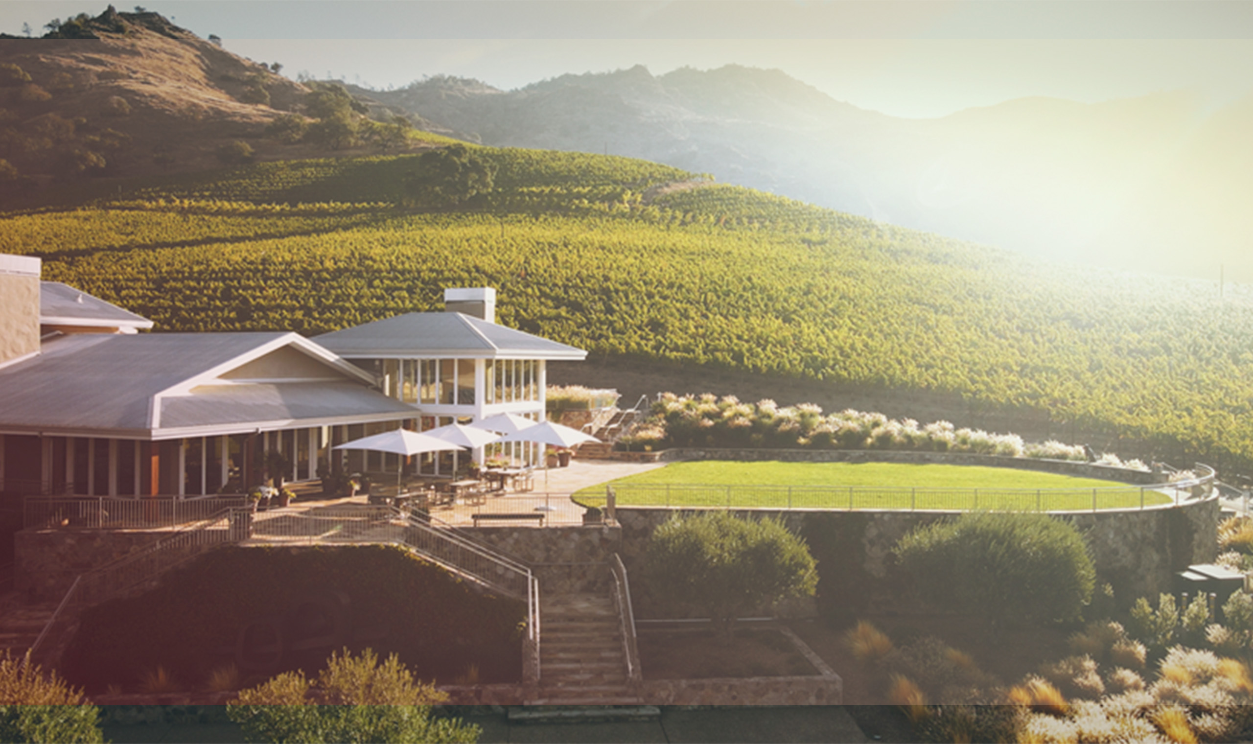 Shafer One Point Five Cabernet Sauvignon | Vivino English