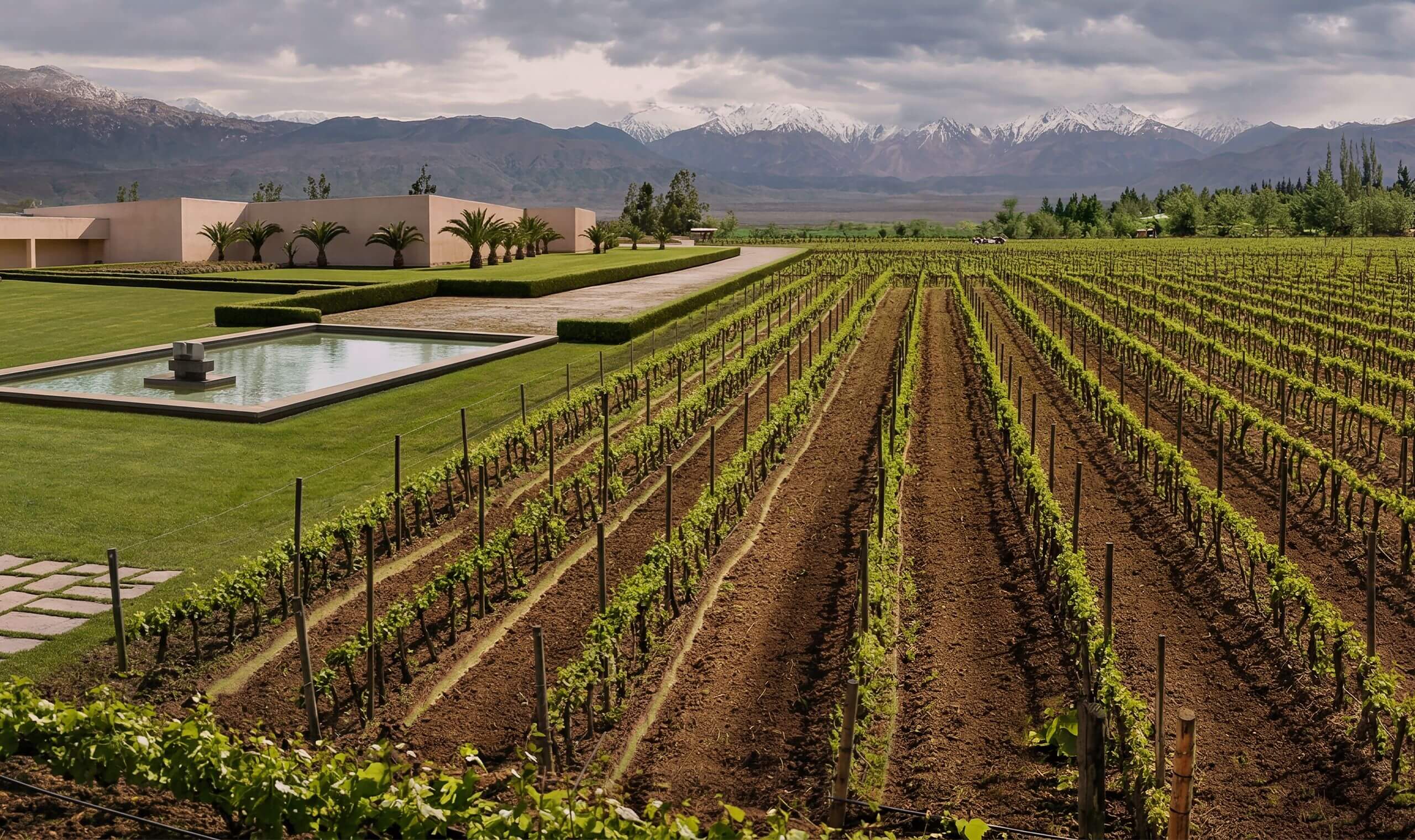 Carmen Maria's Legacy Single Vineyard Cabernet Sauvignon | Vivino